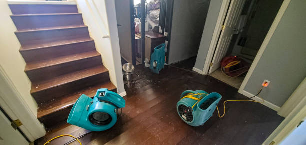 Best Residential water damage restoration  in Talluh, LA