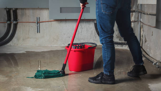 Best Flooded house restoration  in Talluh, LA