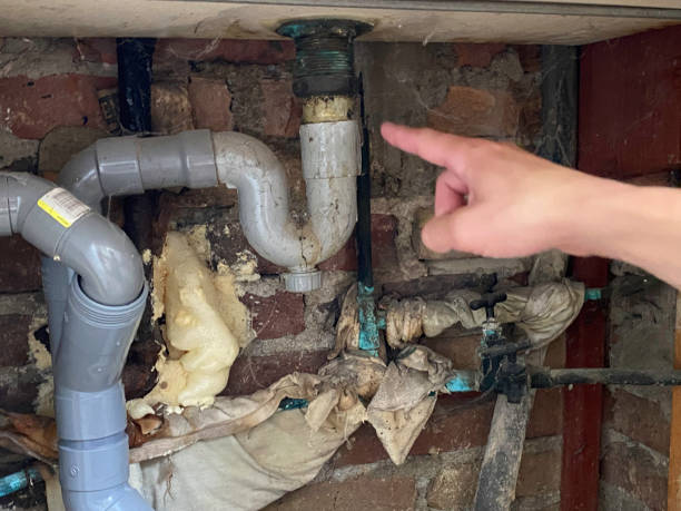 Best Water damage mitigation services  in Talluh, LA