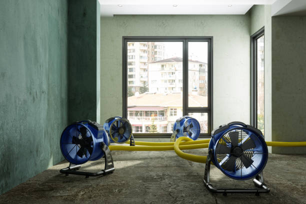 Best Water damage restoration company  in Talluh, LA